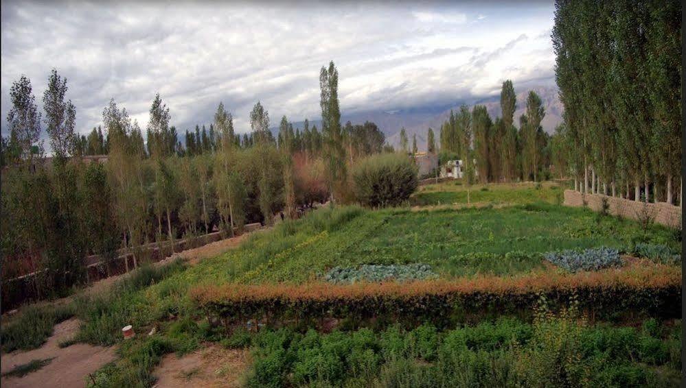 לה Hotel Ladakh Heaven מראה חיצוני תמונה