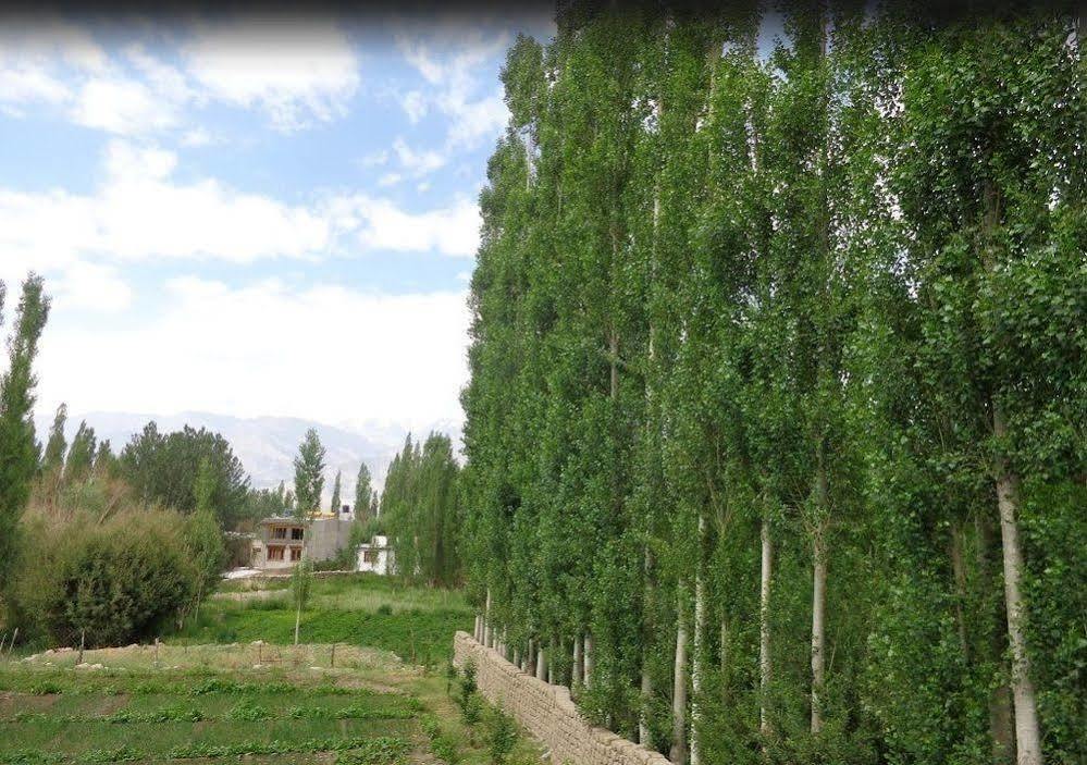 לה Hotel Ladakh Heaven מראה חיצוני תמונה