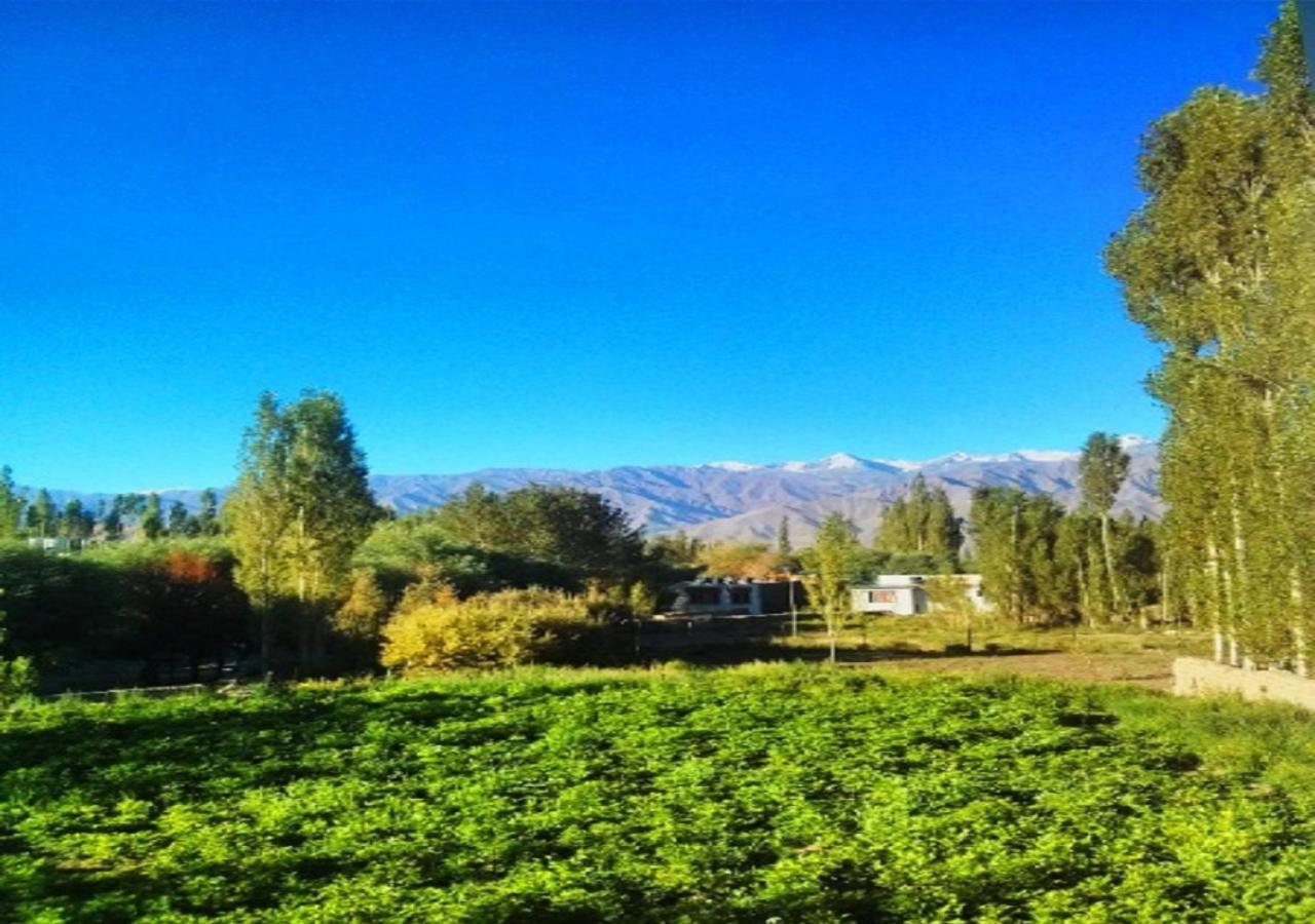 לה Hotel Ladakh Heaven מראה חיצוני תמונה