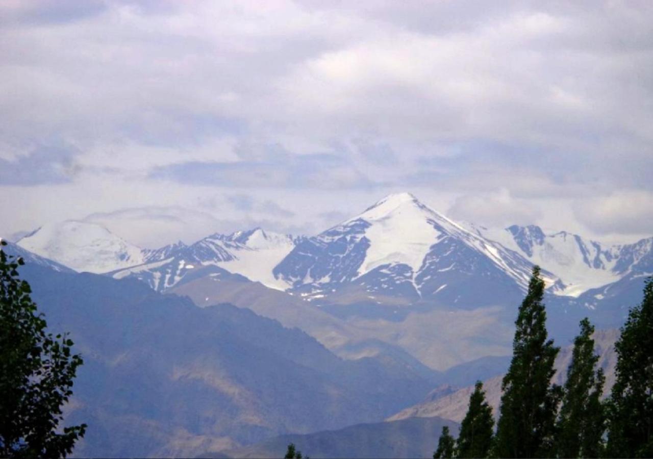 לה Hotel Ladakh Heaven מראה חיצוני תמונה